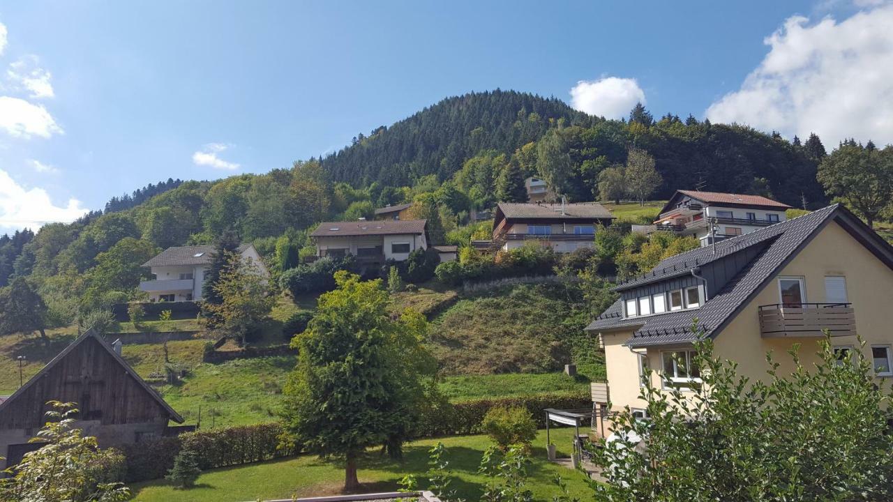 Ferienwohnung Am Kurpark Bad Wildbad Eksteriør billede
