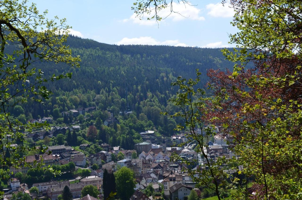 Ferienwohnung Am Kurpark Bad Wildbad Eksteriør billede