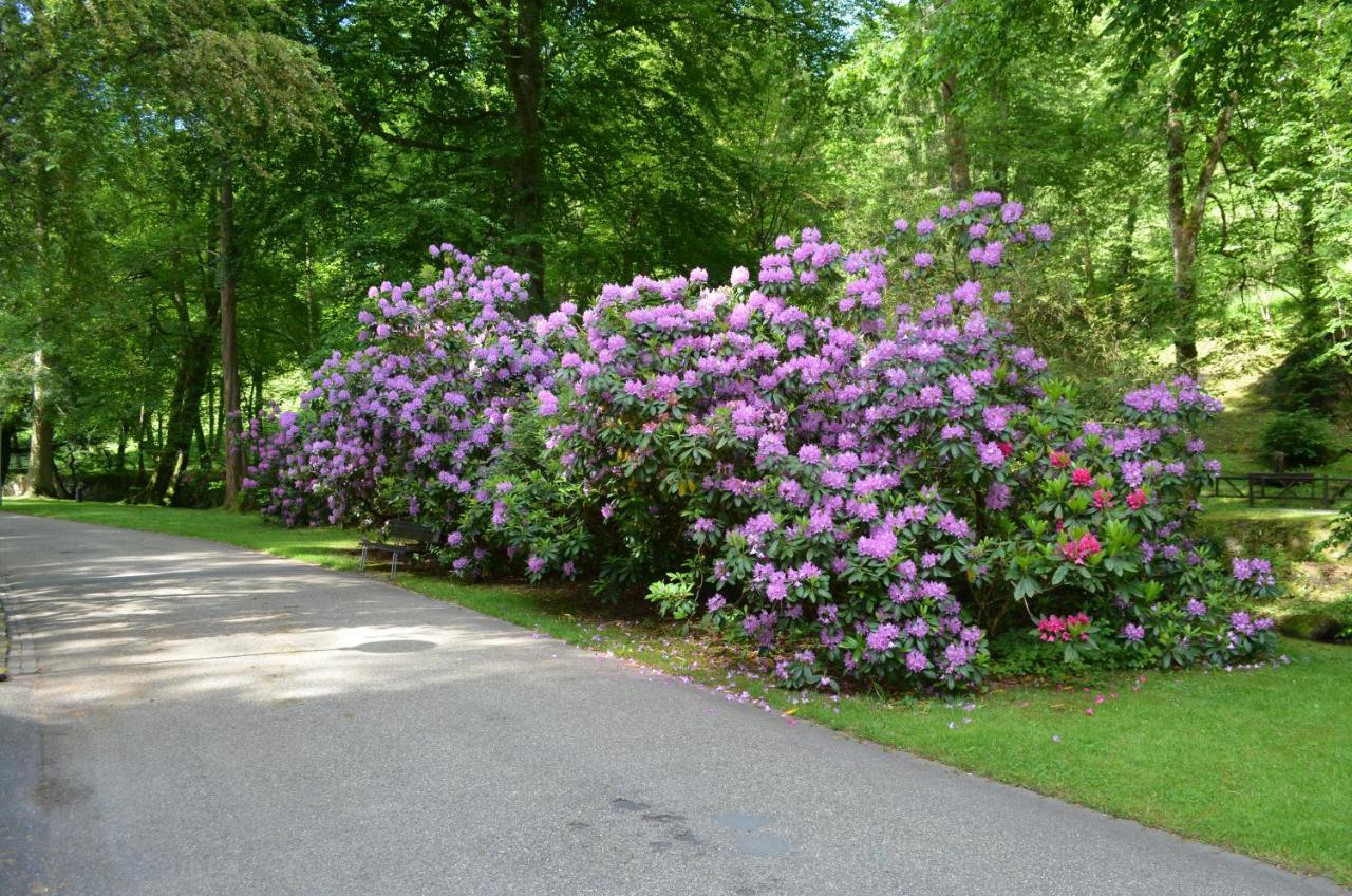 Ferienwohnung Am Kurpark Bad Wildbad Eksteriør billede